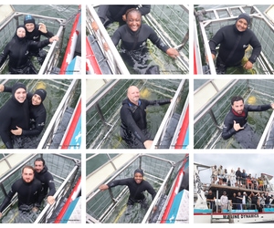 Daily Blog: 03 February 2026 | Shark Cage Diving in South Africa