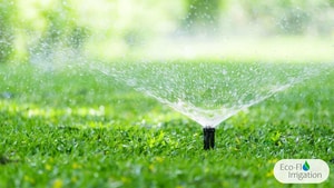 Automatic Garden Watering Made Easy