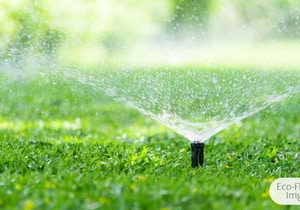 Automatic Garden Watering Made Easy