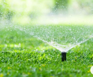 Automatic Garden Watering Made Easy