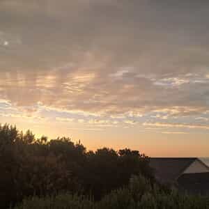 WhatsApp_Image_2026_02_05_at_07.38.18_1770275157