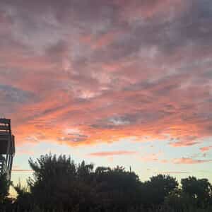 WhatsApp_Image_2026_02_05_at_07.38.19_2_1770275158