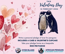 Penguin Love Pledge Valentine’s Day