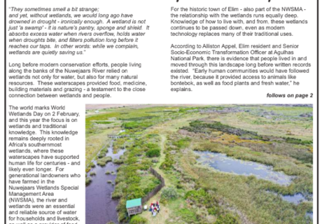 Gans-Berg News - 6 Feb 2026 Edition