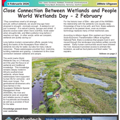 Gans-Berg News - 6 Feb 2026 Edition