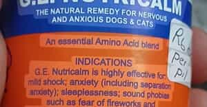 Help Calm Your Anxious Pets