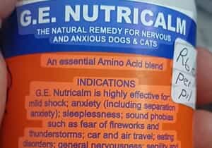 Help Calm Your Anxious Pets