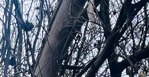 Let’s Play “I Spy with My Little Eye”…