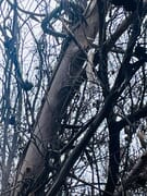 Let’s Play “I Spy with My Little Eye”…