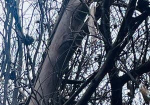 Let’s Play “I Spy with My Little Eye”…