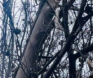 Let’s Play “I Spy with My Little Eye”…