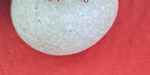 WhatsApp_Image_2026_02_10_at_08.22.54_6_1770707331