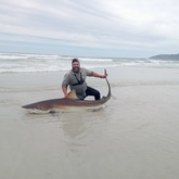 Bronze Whaler Shark - TheBeardedFisher Guided Fishing Tours - Xplorio™ Caledon