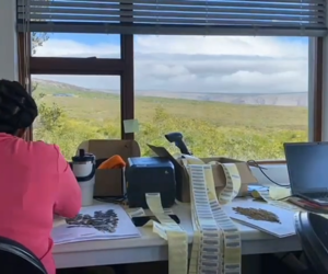 Digitising the Grootbos Plant Collection