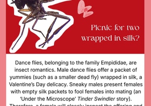 Valentine’s Day in Nature