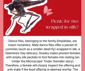 Valentine’s Day in Nature