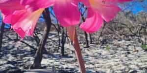 WhatsApp_Image_2026_02_16_at_10.21.52_1771231913