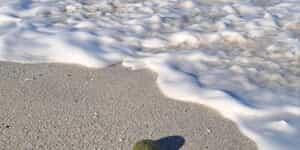 WhatsApp_Image_2026_02_16_at_10.21.52_1_1771231911