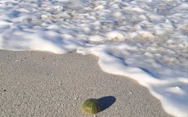 WhatsApp_Image_2026_02_16_at_10.21.52_1_1771231911