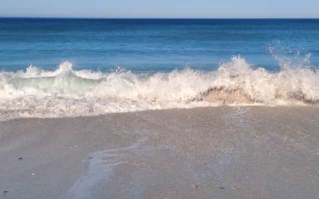 WhatsApp_Image_2026_02_16_at_10.21.52_2_1771231911