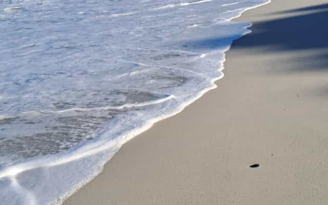 WhatsApp_Image_2026_02_16_at_10.21.52_3_1771231912