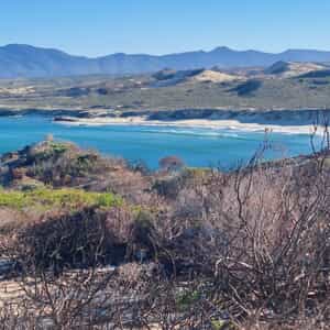 WhatsApp_Image_2026_02_16_at_10.21.53_1_1771231910