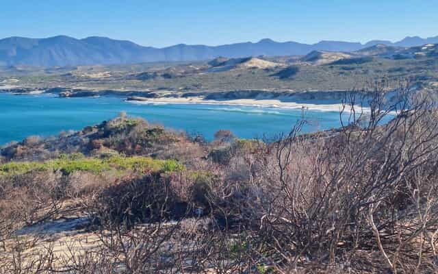 WhatsApp_Image_2026_02_16_at_10.21.53_1_1771231910