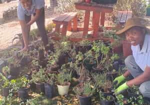 i-MED Africa Plants New Garden Pots with Sinazo and Bongeka