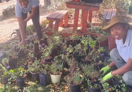 i-MED Africa Plants New Garden Pots with Sinazo and Bongeka