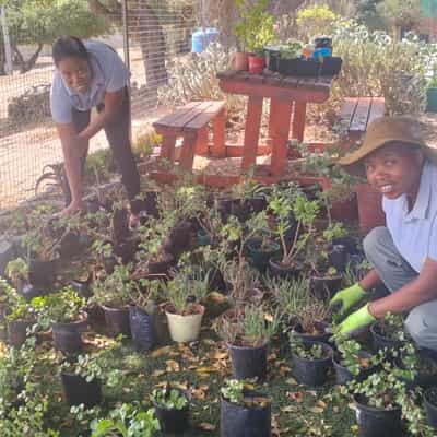 i-MED Africa Plants New Garden Pots with Sinazo and Bongeka