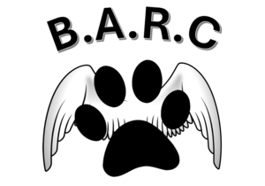 Dog Bad Breath? Signs of Dental Disease