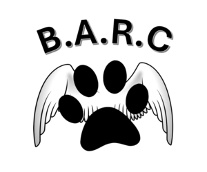 Dog Bad Breath? Signs of Dental Disease