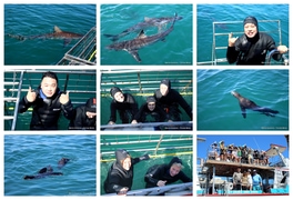 Daily Blog: 16 February 2026 | Shark Cage Diving in South Africa