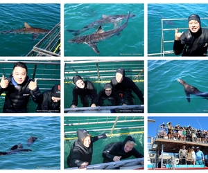 Daily Blog: 16 February 2026 | Shark Cage Diving in South Africa