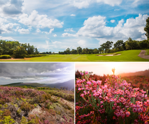 Heuningberg Lifestyle Estate