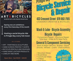 Art Meets Bicycles in Pringle Bay!