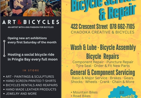 Art Meets Bicycles in Pringle Bay!