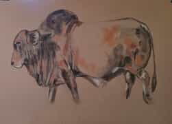Custom Stud Bull Artwork by Sara Abbott