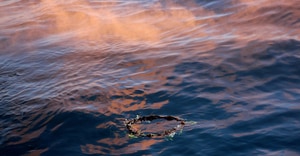 The Birkenhead Memorial and The Great White House