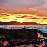 Pearly Beach - Seeff Walker Bay / Gansbaai - Xplorio™