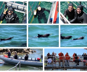 Daily Blog: 03 March 2026 | Shark Cage Diving in South Africa