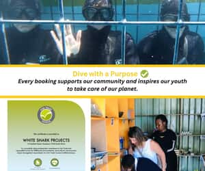 Shark Cage Diving and Volunteer Programs