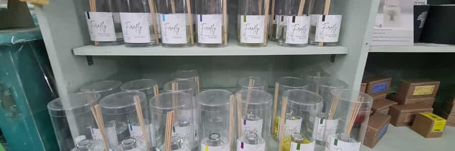 WhatsApp_Image_2026_02_25_at_12.36.48_1772609183