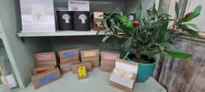 Reed Diffusers in Gansbaai