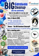 Big Gansbaai Cleanup is Back!