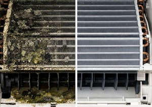 What’s Really Inside Your Air Conditioner If It’s Not Serviced?