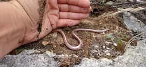 Surprising Finds in Our Backyard!