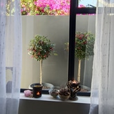 Office - Sue Leppan Transformation Facilitator & Life Coach - Xplorio™ Hermanus