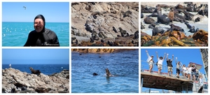 Daily Blog: 11 March 2026 | Shark Cage Diving in South Africa