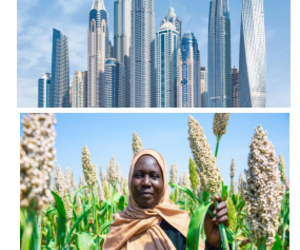 Objectives and Achievements (2018-Present)